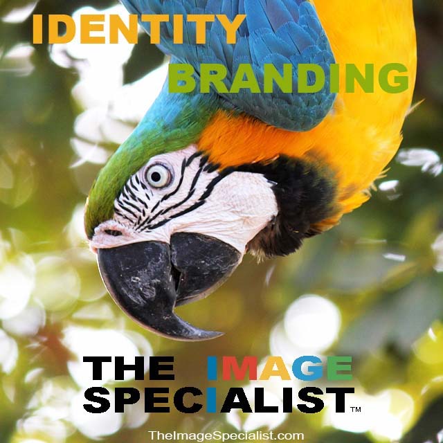 Logo Design The Image Specialist Identity Branding Services