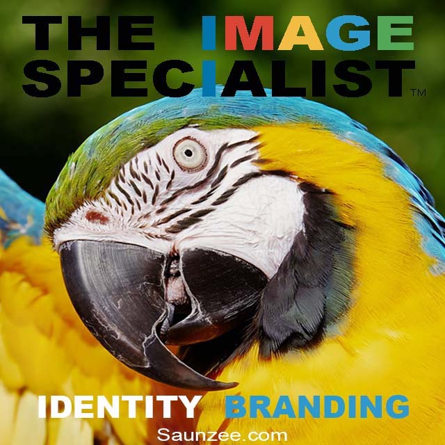 The Image Specialist Identity Branding LINK